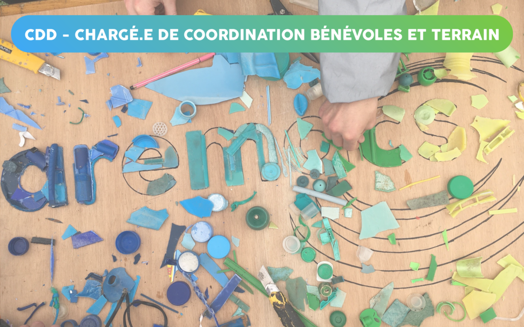 Chargé·e de coordination bénévoles et terrain – Bordeaux