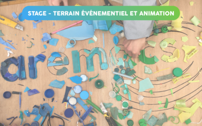 Terrain événementiel et animation – Nantes